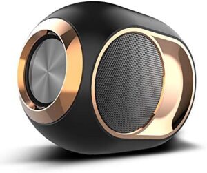 High-End Bluetooth Speakers